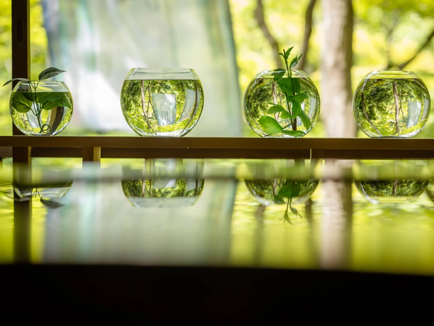 Experience - ―体験―