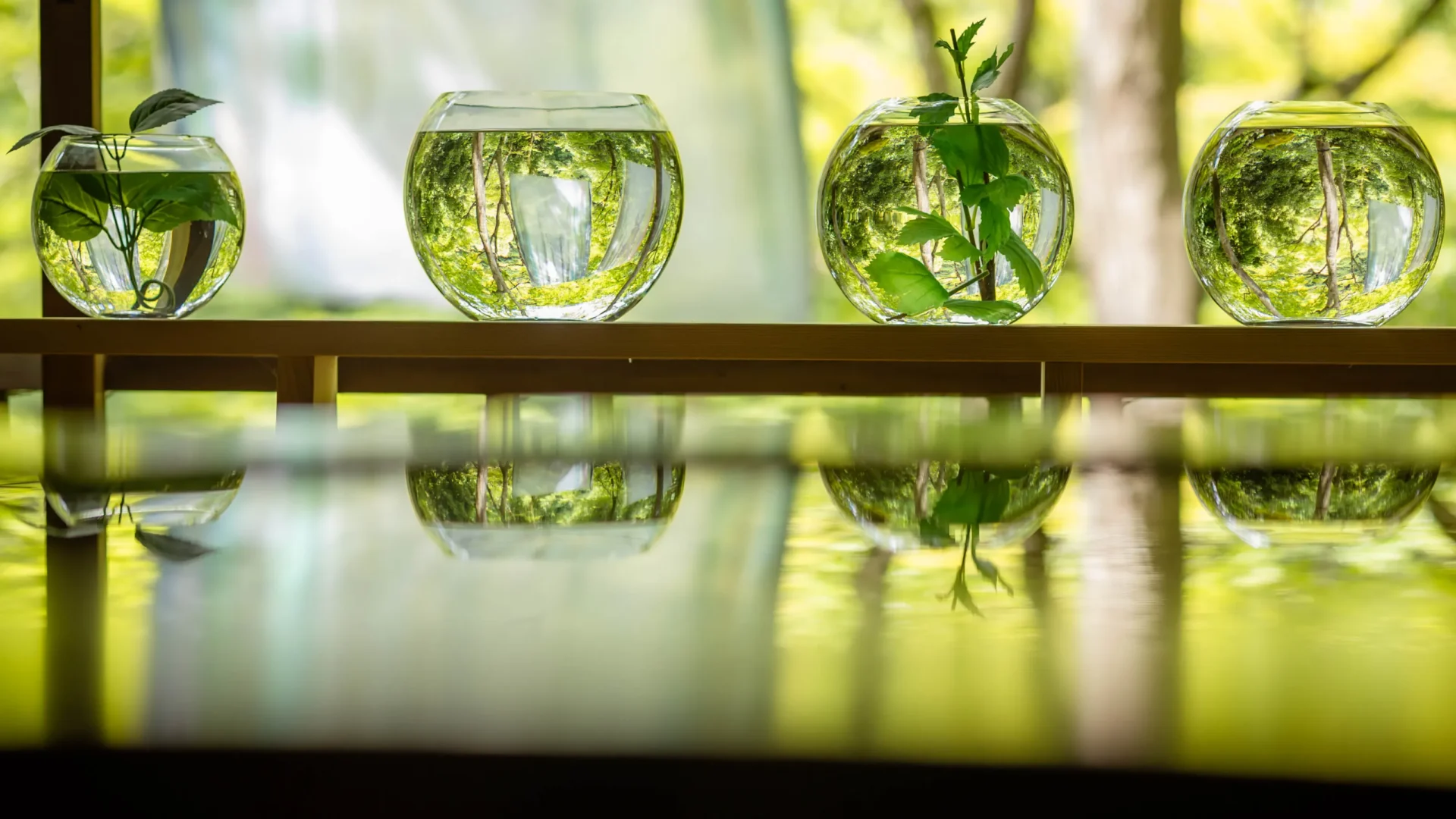 Experience - -经验-