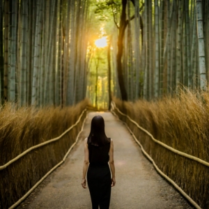 1、嵐山竹林步道