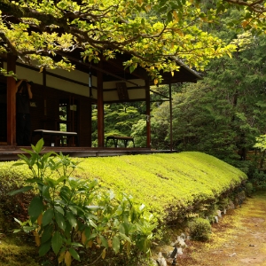 妙心寺塔 庆顺院