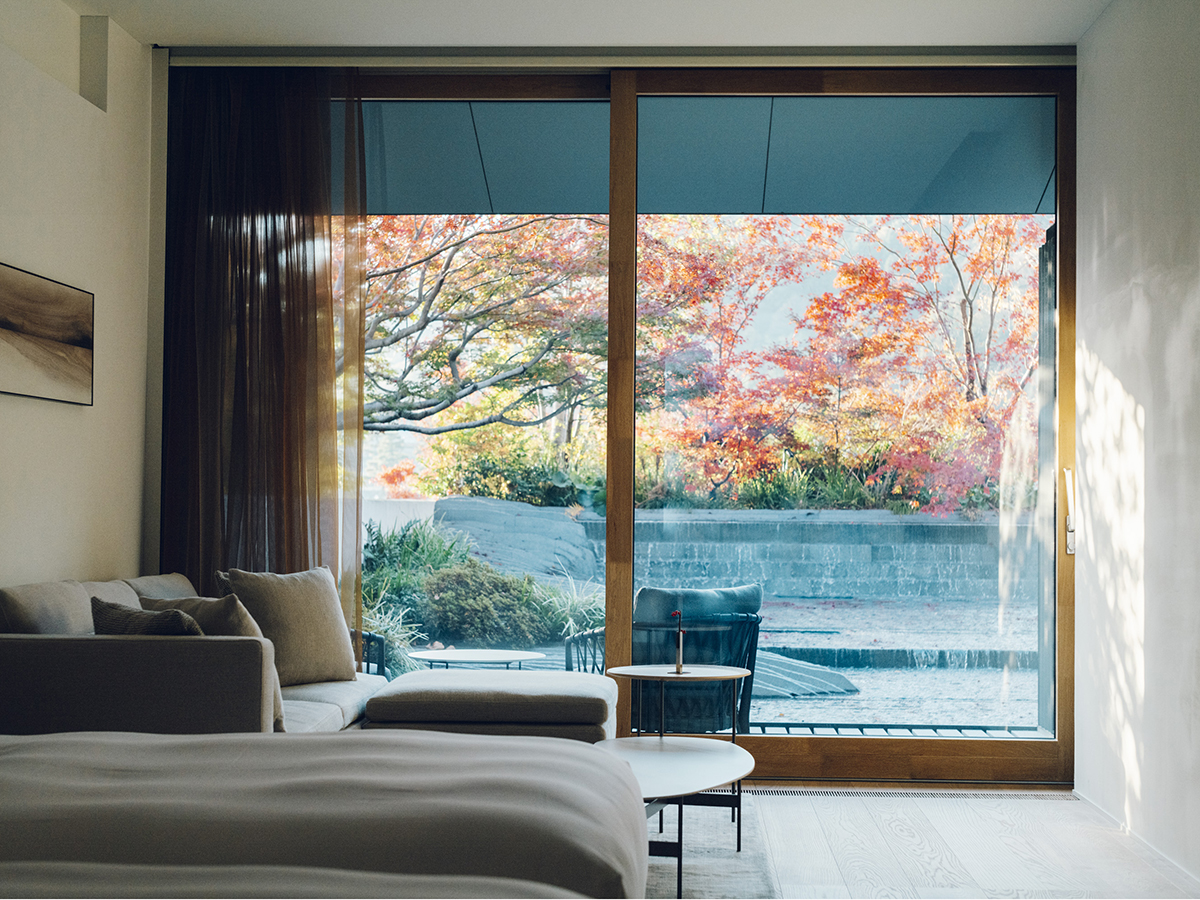 【Season】Arashiyama to Uzumasa: A Journey Through Light and Tradition