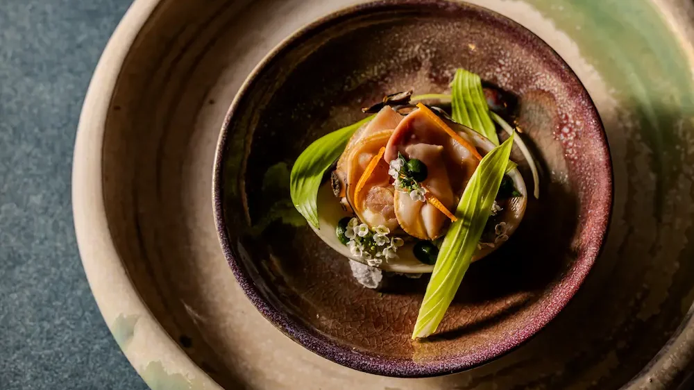 Restaurant MUNI|季節の一皿|京都のフレンチレストラン Restaurant MUNI の季節の一皿(彩り豊かな盛り付けのフレンチ)