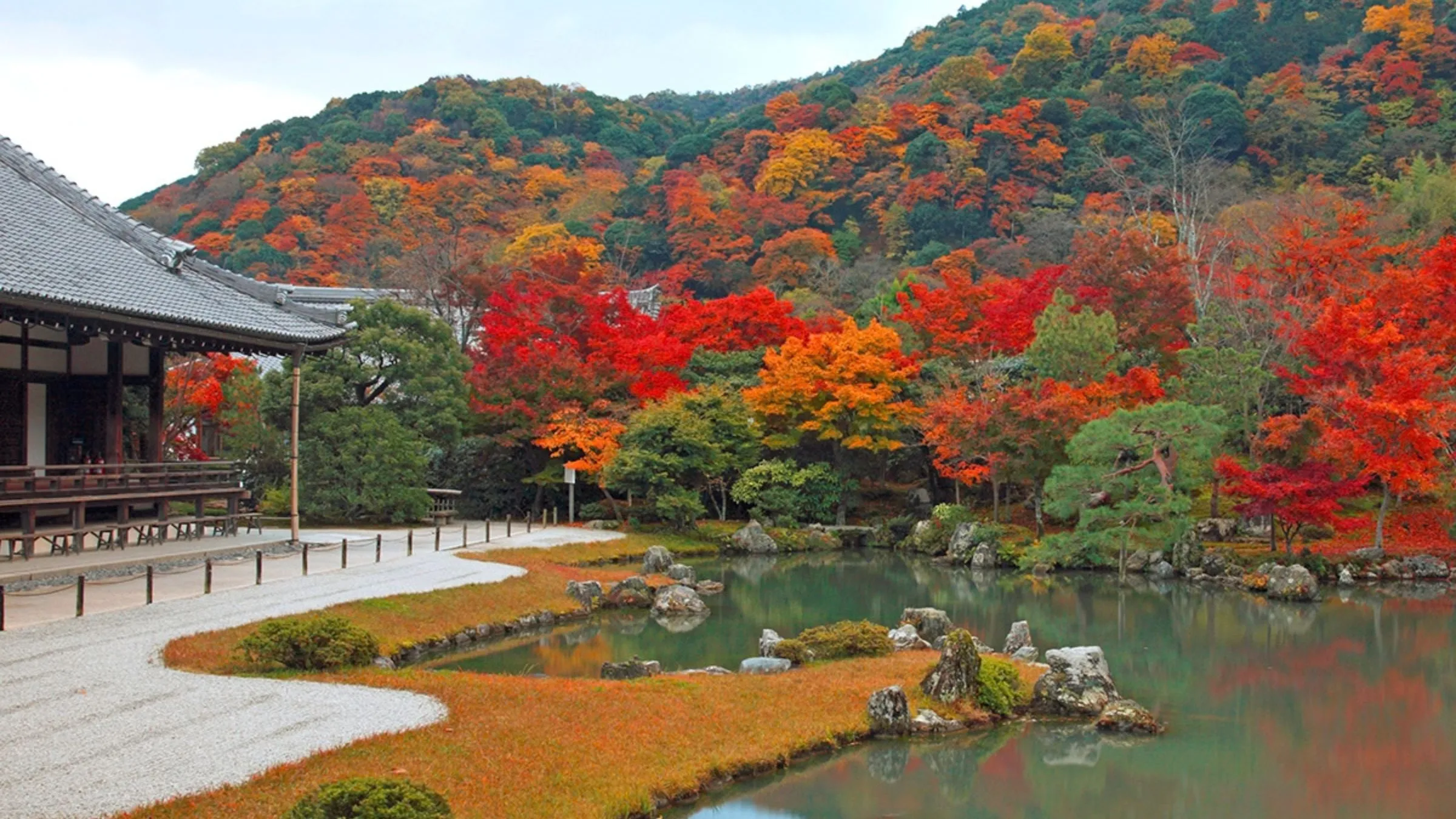 【紅葉の天龍寺・早朝特別参拝付き】静寂に包まれる世界遺産を堪能する秋の嵐山ステイ＜ティータイム・夕朝食付＞